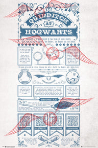 Gbeye Harry Potter Quidditch At Hogwarts Póster 61X91 5cm | Yourdecoration.es