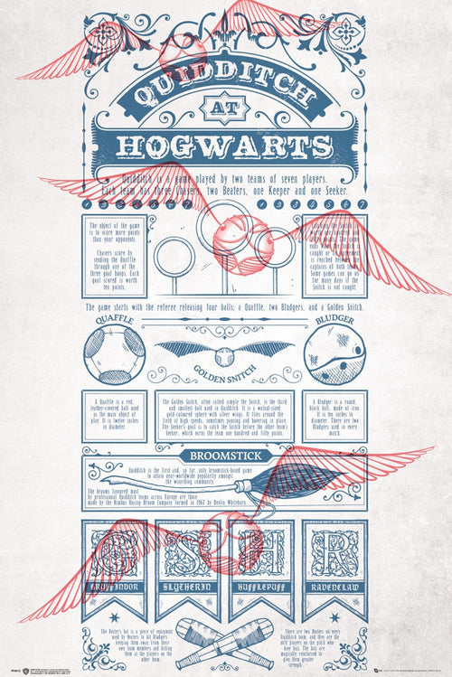 Gbeye Harry Potter Quidditch At Hogwarts Póster 61X91 5cm | Yourdecoration.es
