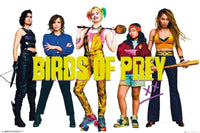 GBeye Birds of Prey Group Póster 91,5x61cm | Yourdecoration.es