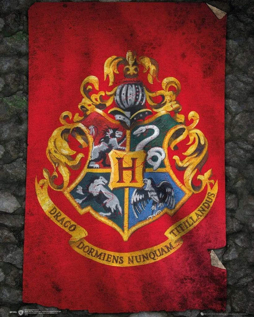 GBeye Harry Potter Hogwarts Flag Póster 40x50cm | Yourdecoration.es