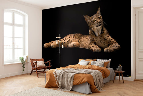 komar iberische lynx Fotomural Tejido No Tejido 400x280cm 6 Partes Ambiente | Yourdecoration.es