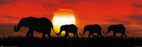 Pyramid Sunset Elephants Póster 91,5x30,5cm | Yourdecoration.es