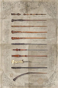 Pyramid Harry Potter The Wand Chooses the Wizard Póster 61x91,5cm | Yourdecoration.es