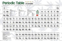 Pyramid Periodic Table Cannabis Póster 61x91,5cm | Yourdecoration.es